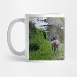 Bull by the River Mug